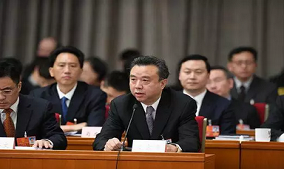 五粮液集团李曙光代表出席2020年全国两会